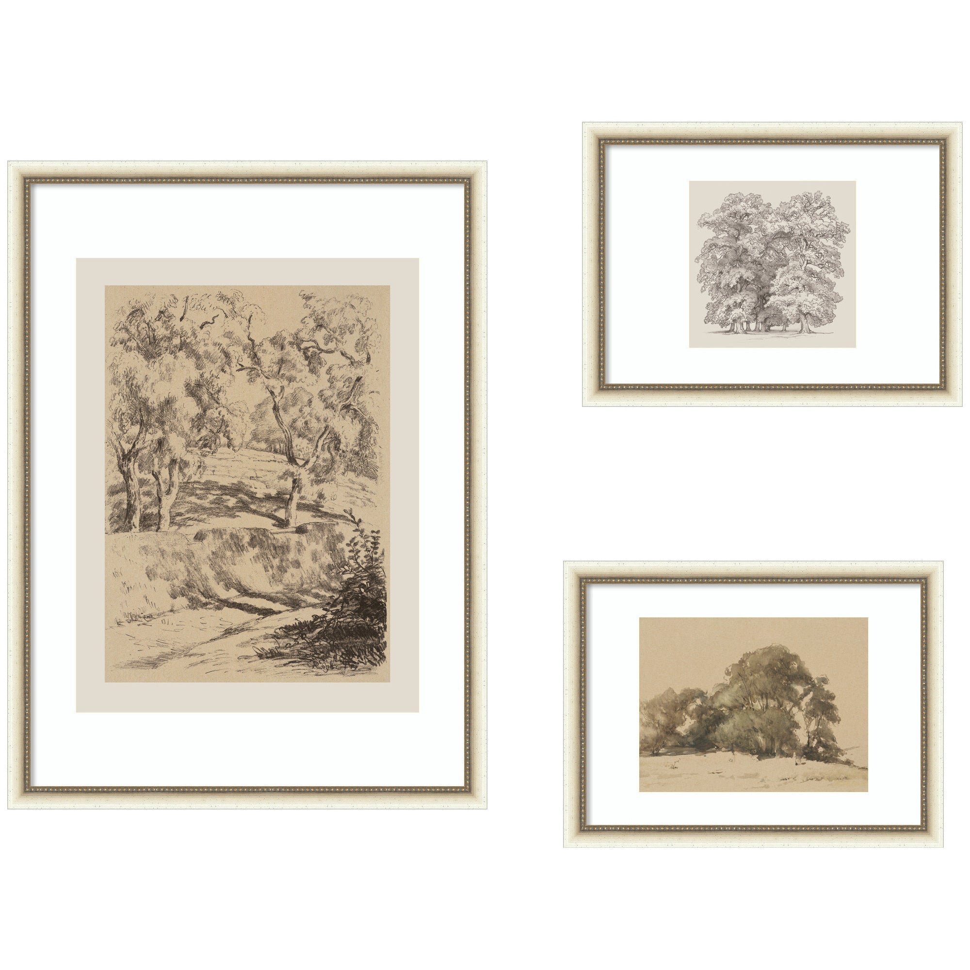 Sketches of Nature by Fry, Becker & Bosboom 3 Piece Framed Wall Art Print Set by Nostalgia Prints