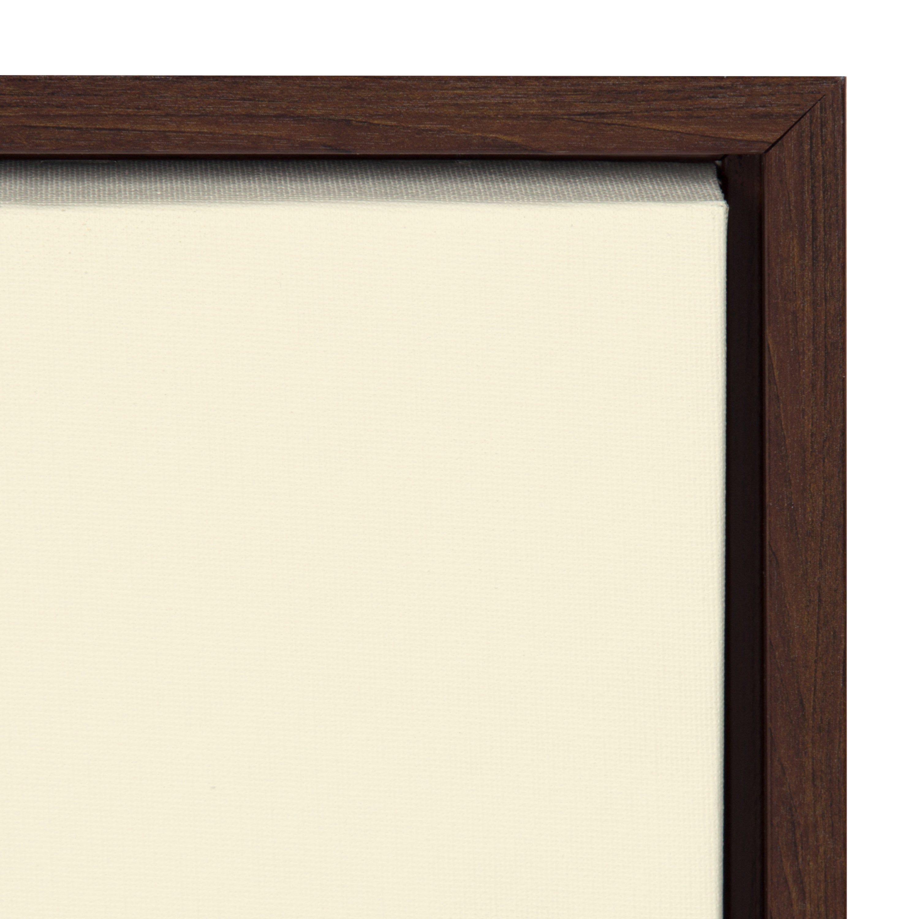 Sylvie Modern Planter Framed Canvas by kateandlaurel - product image 3 for Resin Society