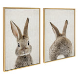 Two framed canvas prints of a brown bunny, one showing the front with large ears and curious eyes, the other the back with upright ears and a fluffy tail.