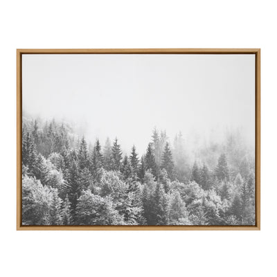Sylvie Forest On A Foggy Day BW Framed Canvas
