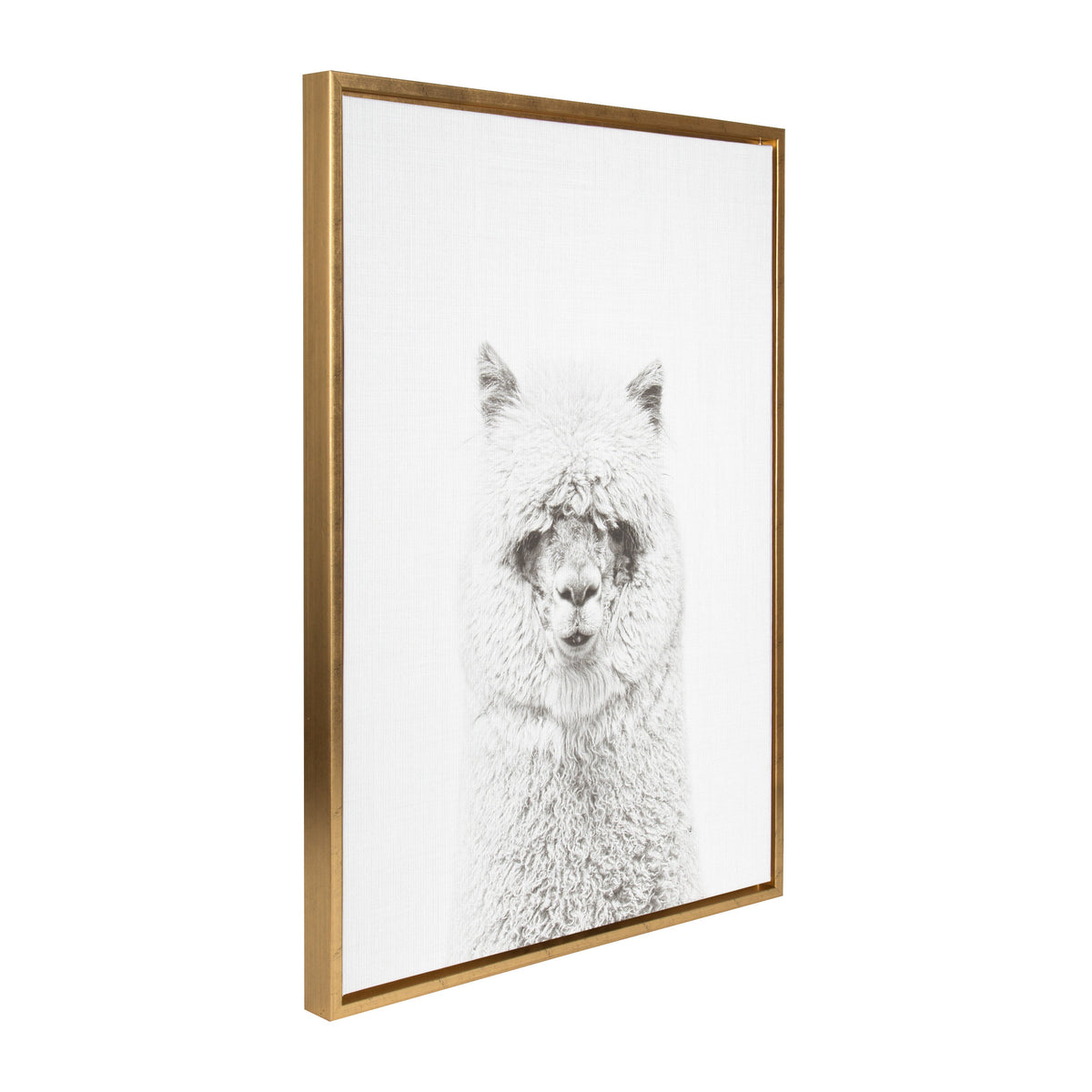Framed canvas print of a detailed black-and-white alpaca portrait with fluffy hair and upright ears against a white background, in a thin golden frame.