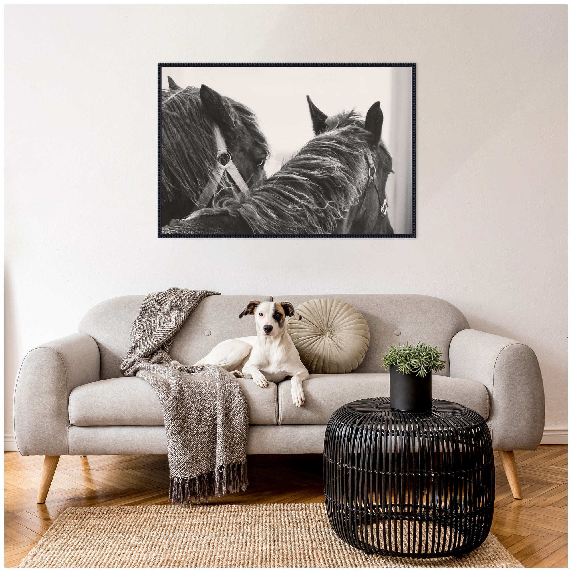 Black Horses by Emiko and Mark Franzen F2 Images Framed Canvas Wall Art Print