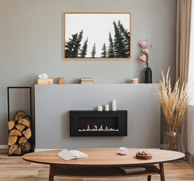 Sylvie Evergreens Framed Canvas by Patricia Hasz