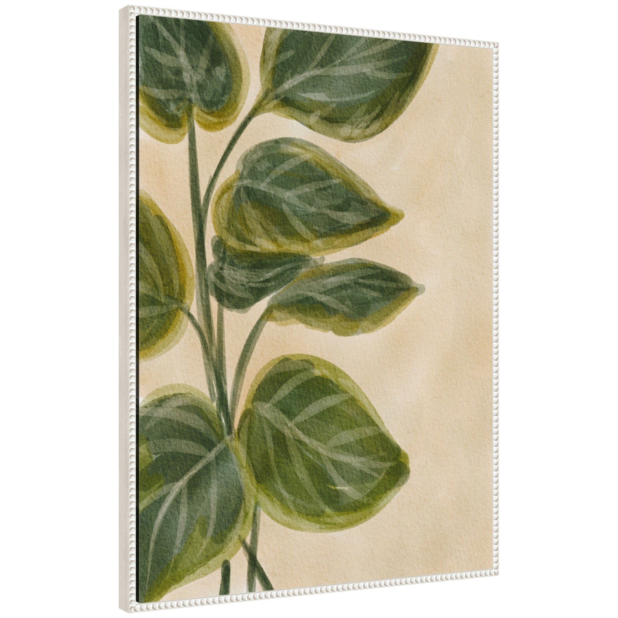 Sylvie Green Foliage framed canvas art showing detailed green foliage design with light polystyrene floating frame