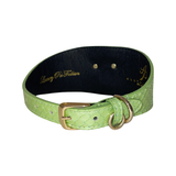 Wide pearl green snake-patterned collar with gold-tone buckle and two D-ring accessories, shown in a slightly curved position against white background.