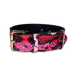 Dog collar featuring a bold snake pattern in pink, fuchsia, red, and black with gold-toned buckle hardware, shown against a white background.
