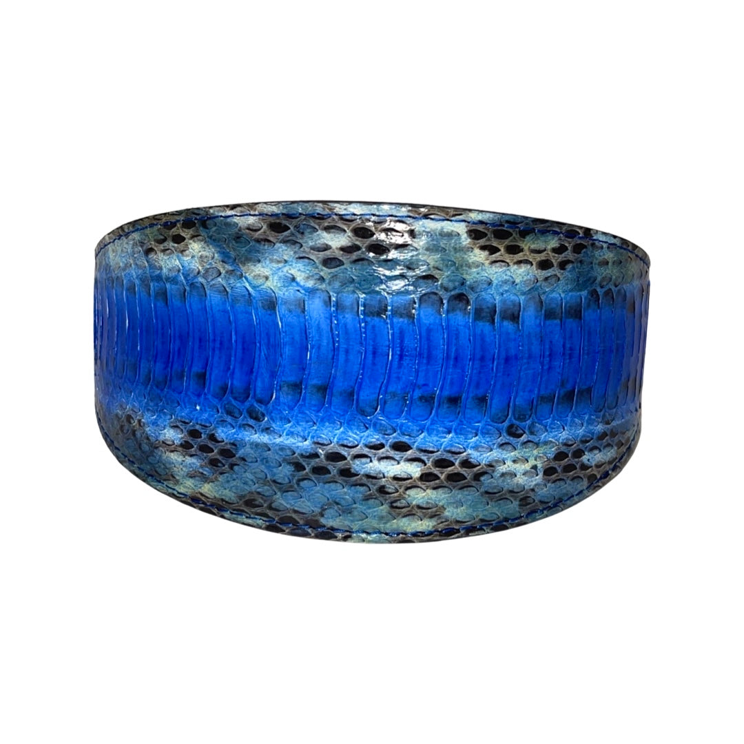 Wide 3-inch collar featuring multi-tone blue snake skin pattern with scales and black accents, displayed against a white background.