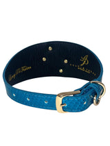 Dark turquoise leather dog collar with a snake skin texture, gold buckle, and four small gold rivets inside the band.