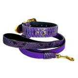 Purple python leather dog collar and leash set with gold-tone hardware, featuring textured reptile pattern and smooth leather details.