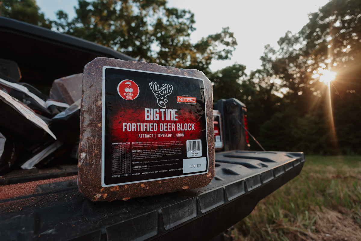 Rectangular block of Big Tine Fortified Deer Block bait with a red and black label, placed on the tailgate of a pickup truck outdoors during sunset.