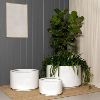 Shoob Cylindrical Planter - The Balcony Garden US