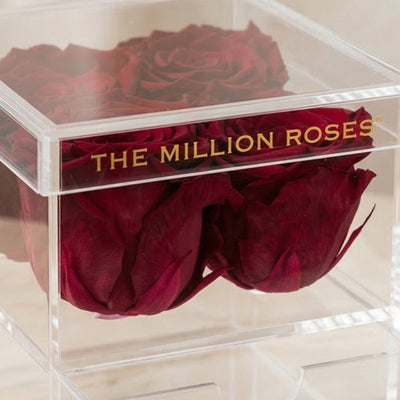 Acrylic 4 Drawer Box | Magenta Roses