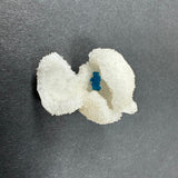 Small white crystalline Stilbite formation with a cluster of bright blue Cavansite ball crystals nestled inside, displayed on a dark gray surface.
