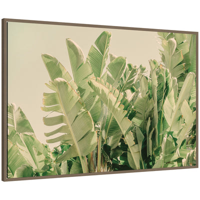 Framed canvas wall art print 'Potential' by Alicia Bock featuring dense banana leaves in warm sunlight with Sylvie dark gold frame