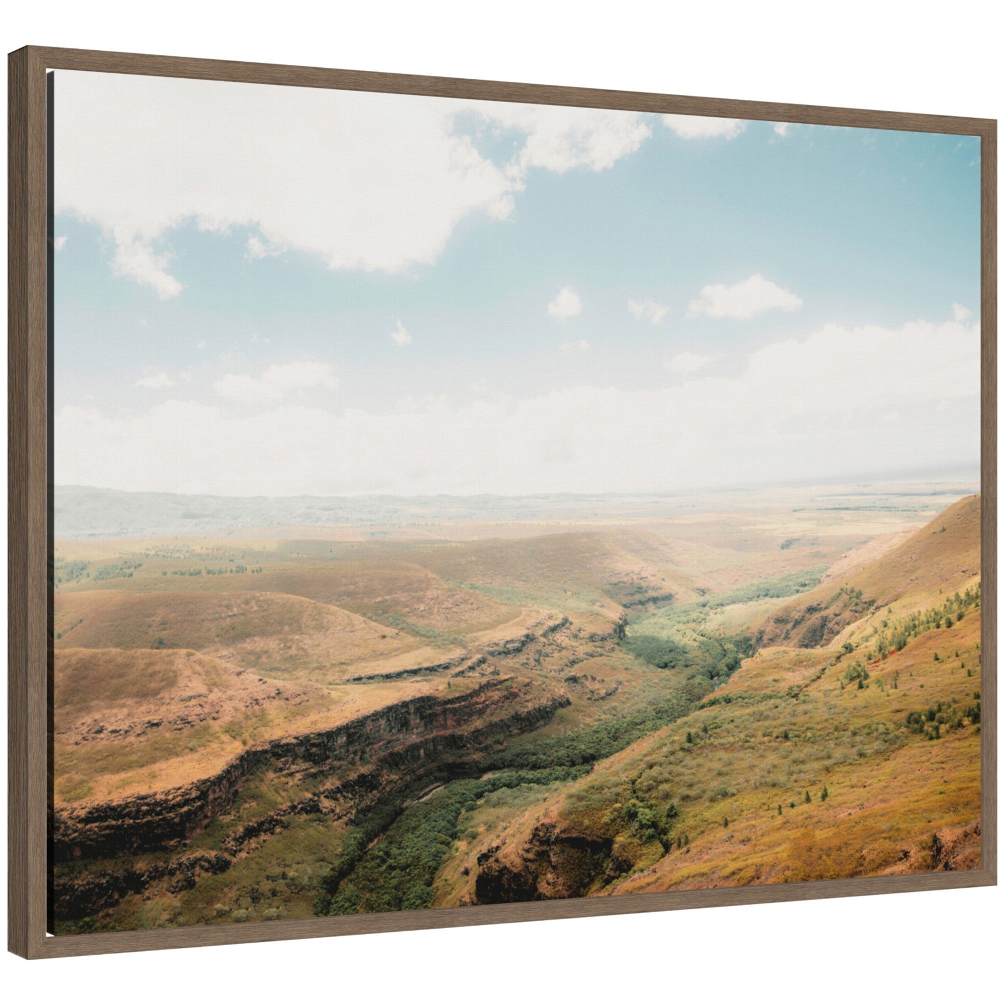Framed floating canvas art titled Sylvie Rolling Hills and Open Pastures by Alicia Abla