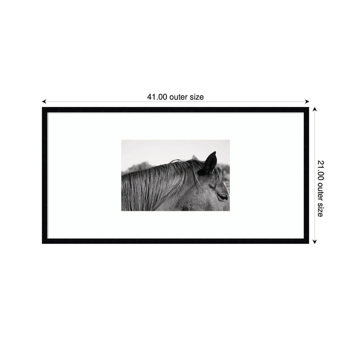 Framed black and white photo of a horse's head and neck, shown horizontally with dimensions 41 by 21 inches including the frame.