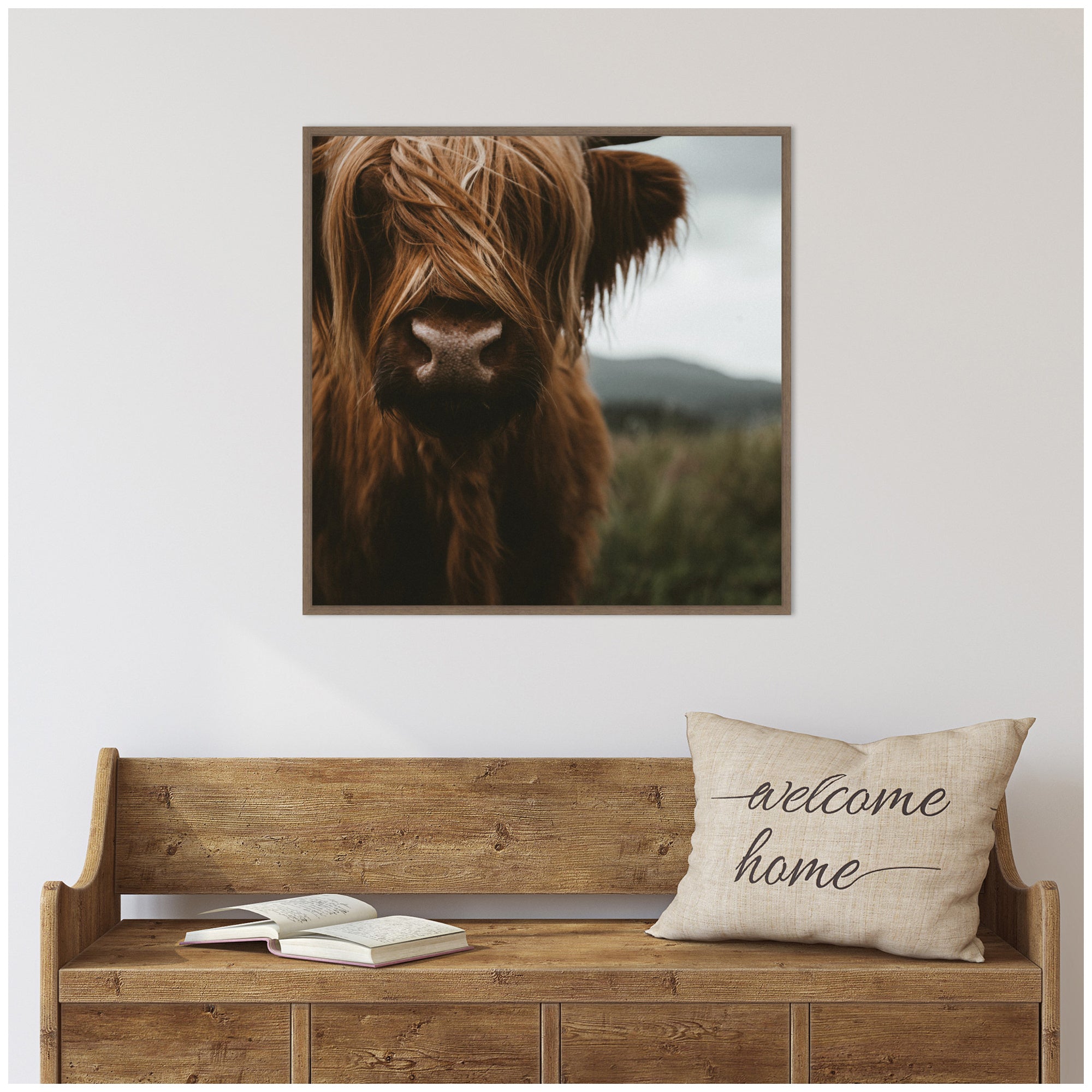 Close Up of Scottish Highland Cattle Baby SQ by Michael Schauer Framed Canvas Wall Art Print