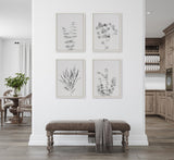 Sylvie Neutral Botanical 1 and 2 Soft White Framed Canvas by kateandlaurel - product image 4 for Resin Society