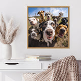 Framed photo of eight dogs with various color patterns, all looking closely at the camera with happy expressions under a blue sky, displayed on a white wall above a white desk.