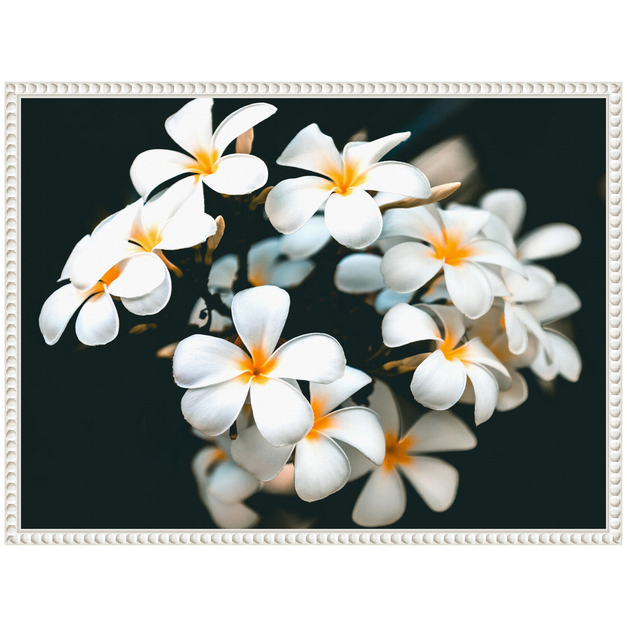 Sylvie Tropical Flowers Framed Canvas by Alicia Abla