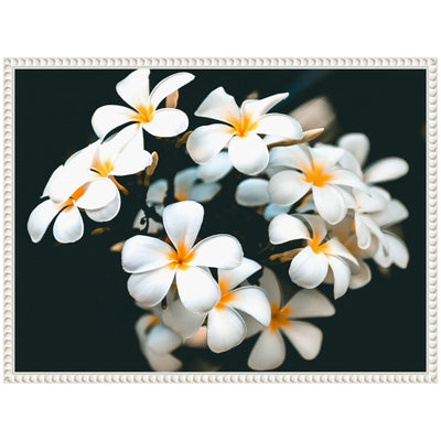 Sylvie Tropical Flowers Framed Canvas by Alicia Abla