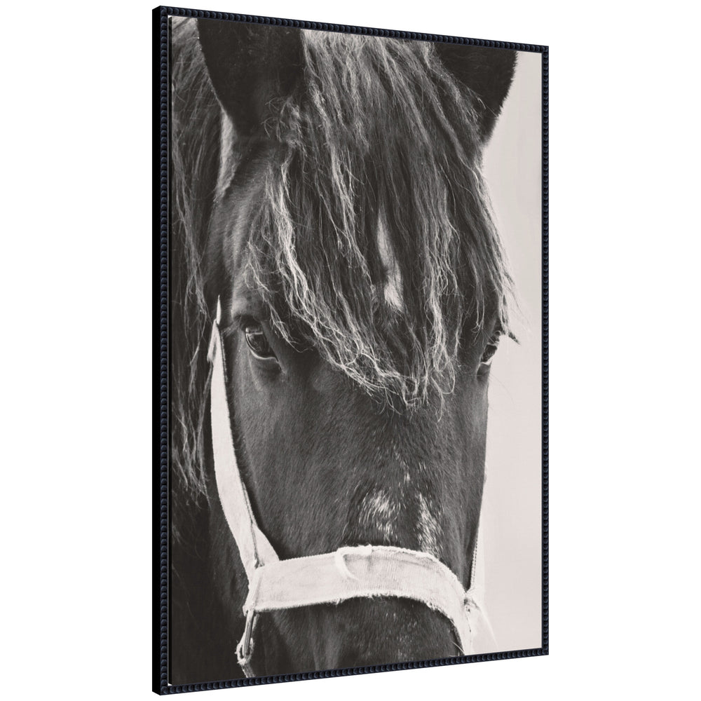 Framed canvas print of a black horse by Emiko and Mark Franzen in a Sylvie Beaded frame