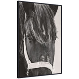 Framed canvas print of a black horse by Emiko and Mark Franzen in a Sylvie Beaded frame