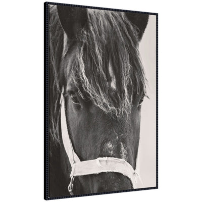 Framed canvas print of a black horse by Emiko and Mark Franzen in a Sylvie Beaded frame