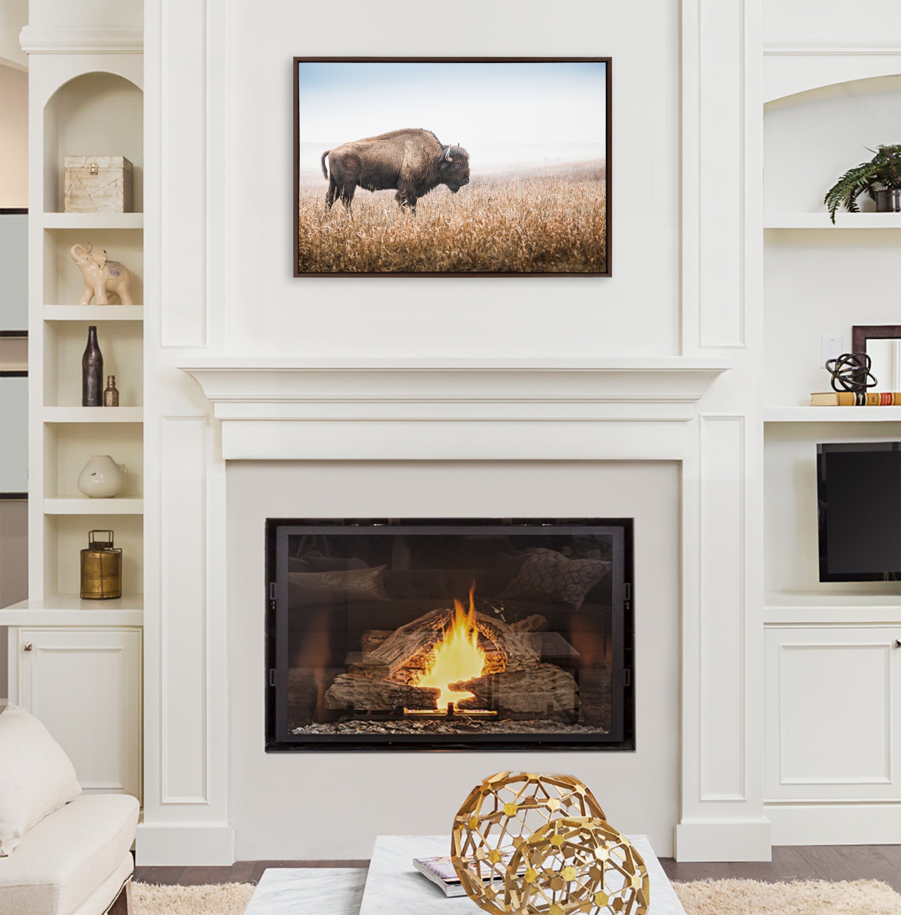 Sylvie American Bison Buffalo in Prairie Grass Framed Canvas by Warren Metcalf
