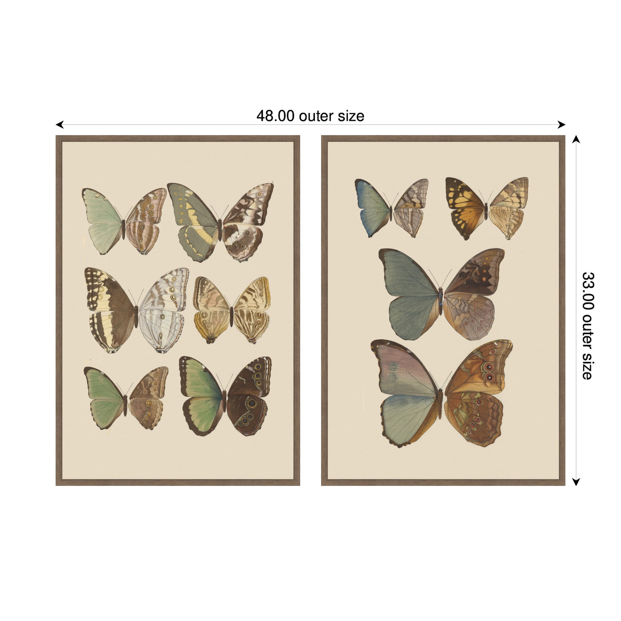 Exotische schmetterlinge Otto Staudinger 2 Piece Framed Canvas Wall Art Set by Nostalgia Prints