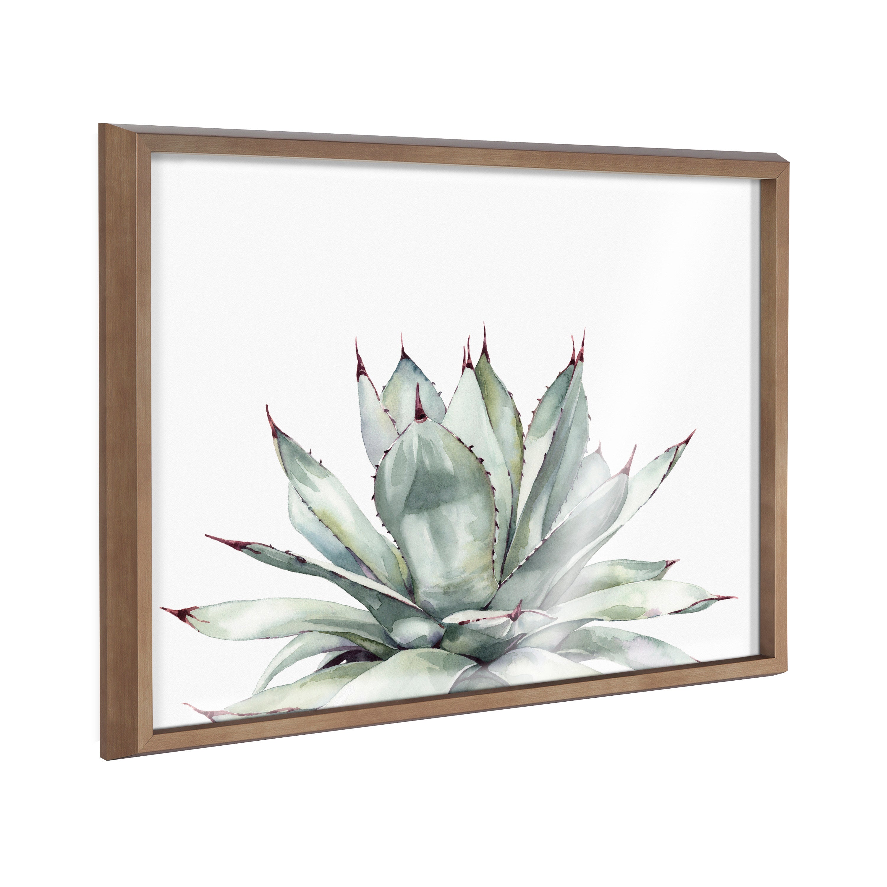 Blake Parrys Agave Framed Printed Glass by kateandlaurel - product image 16 for Resin Society