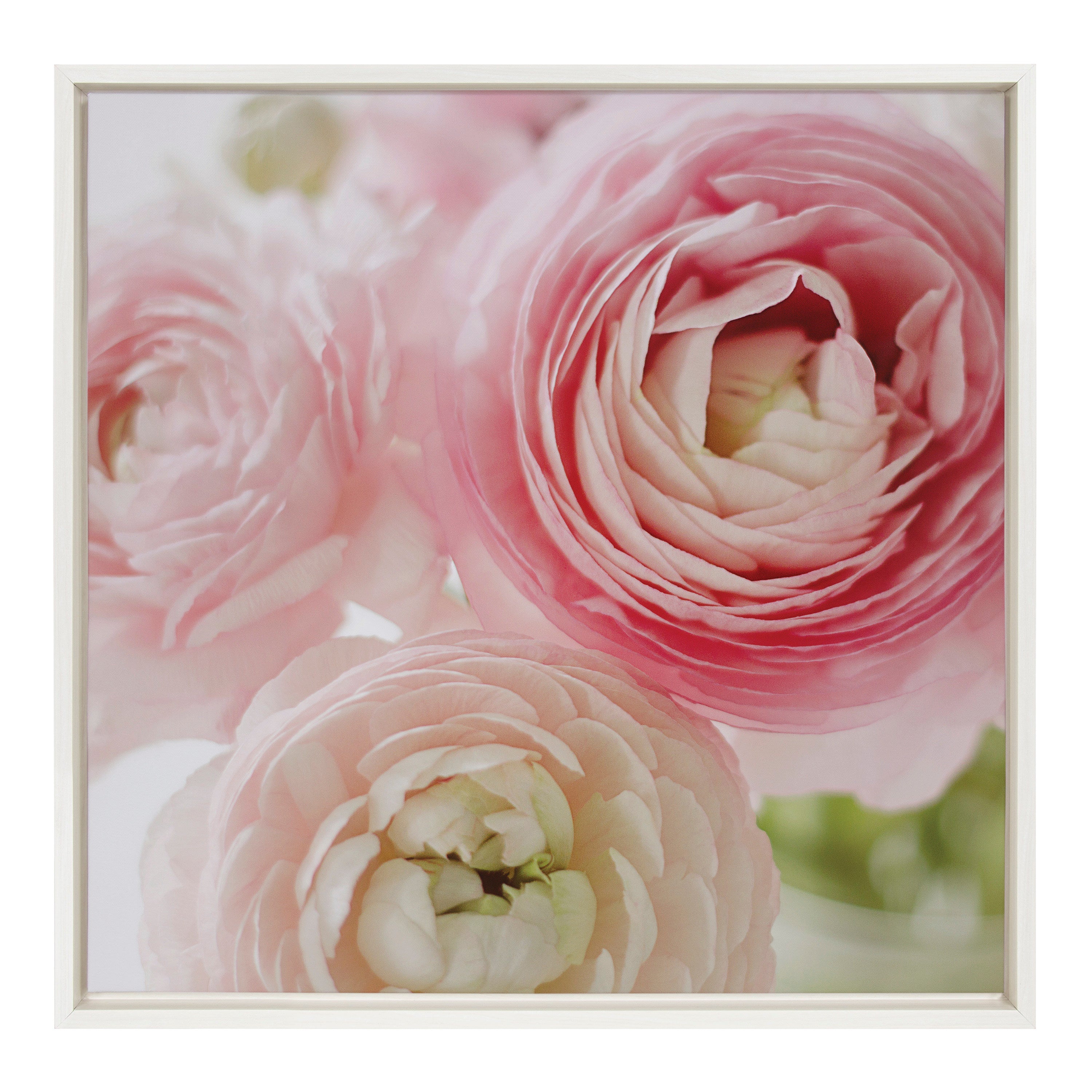 Sylvie Pink Dreams Framed Canvas by kateandlaurel - product image 2 for Resin Society