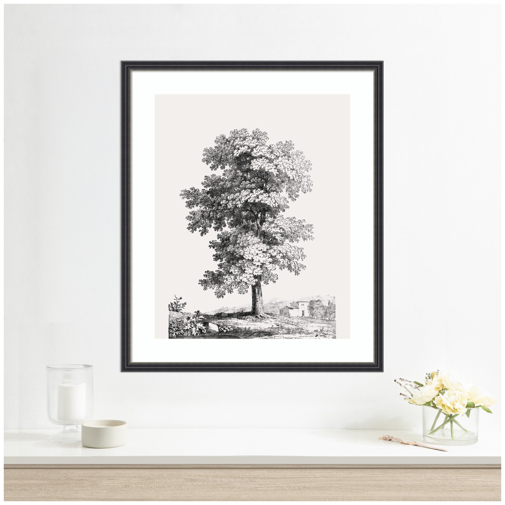 Framed Art Jean Victor Bertin Study of a Tree 1816