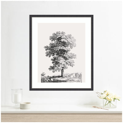 Framed Art Jean Victor Bertin Study of a Tree 1816