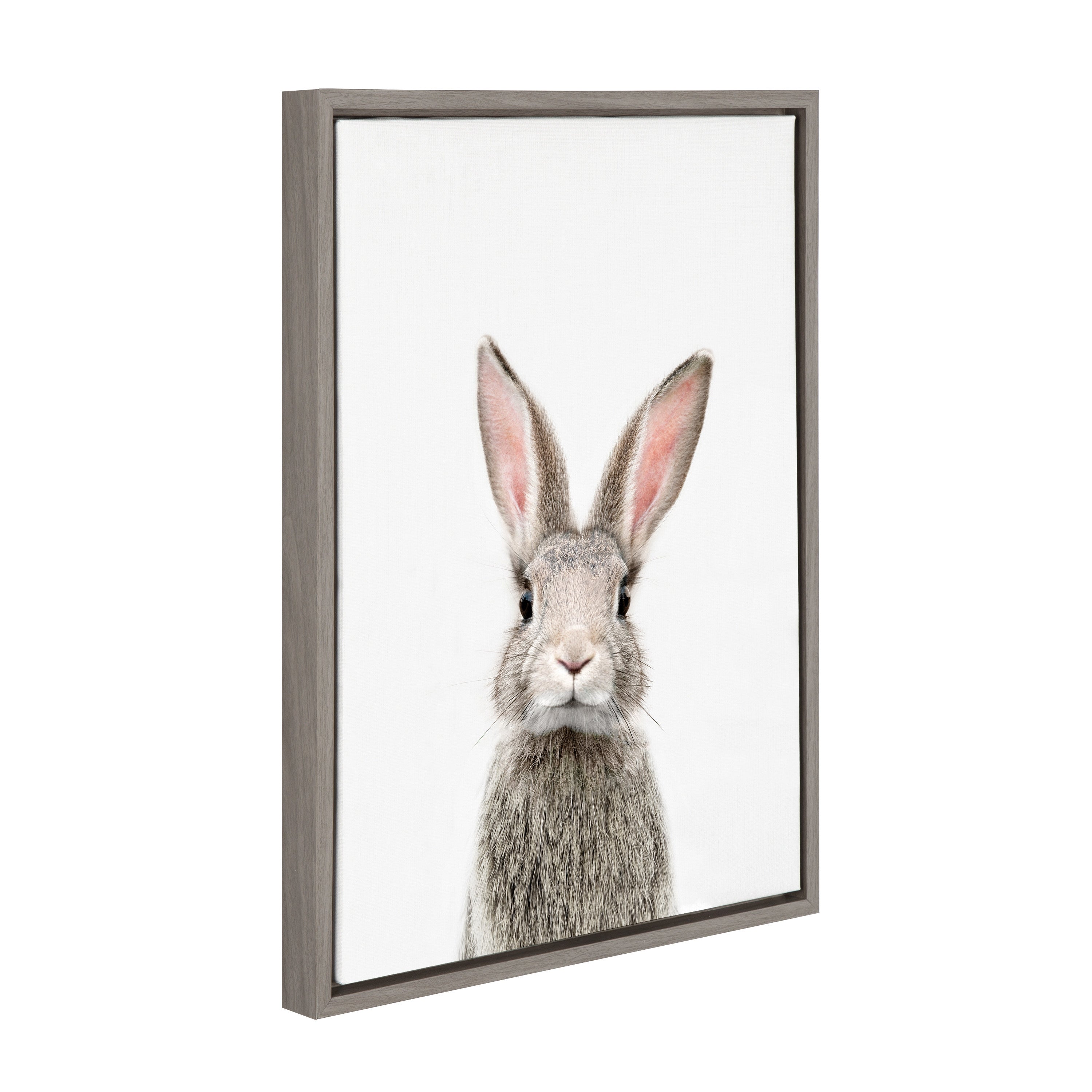 Sylvie Young Rabbit Framed Canvas by Amy Peterson Art Studio