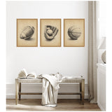Three framed vintage-style sports illustrations featuring an American football, a baseball glove with ball, and a basketball, displayed above a wooden bench with a draped light fabric.