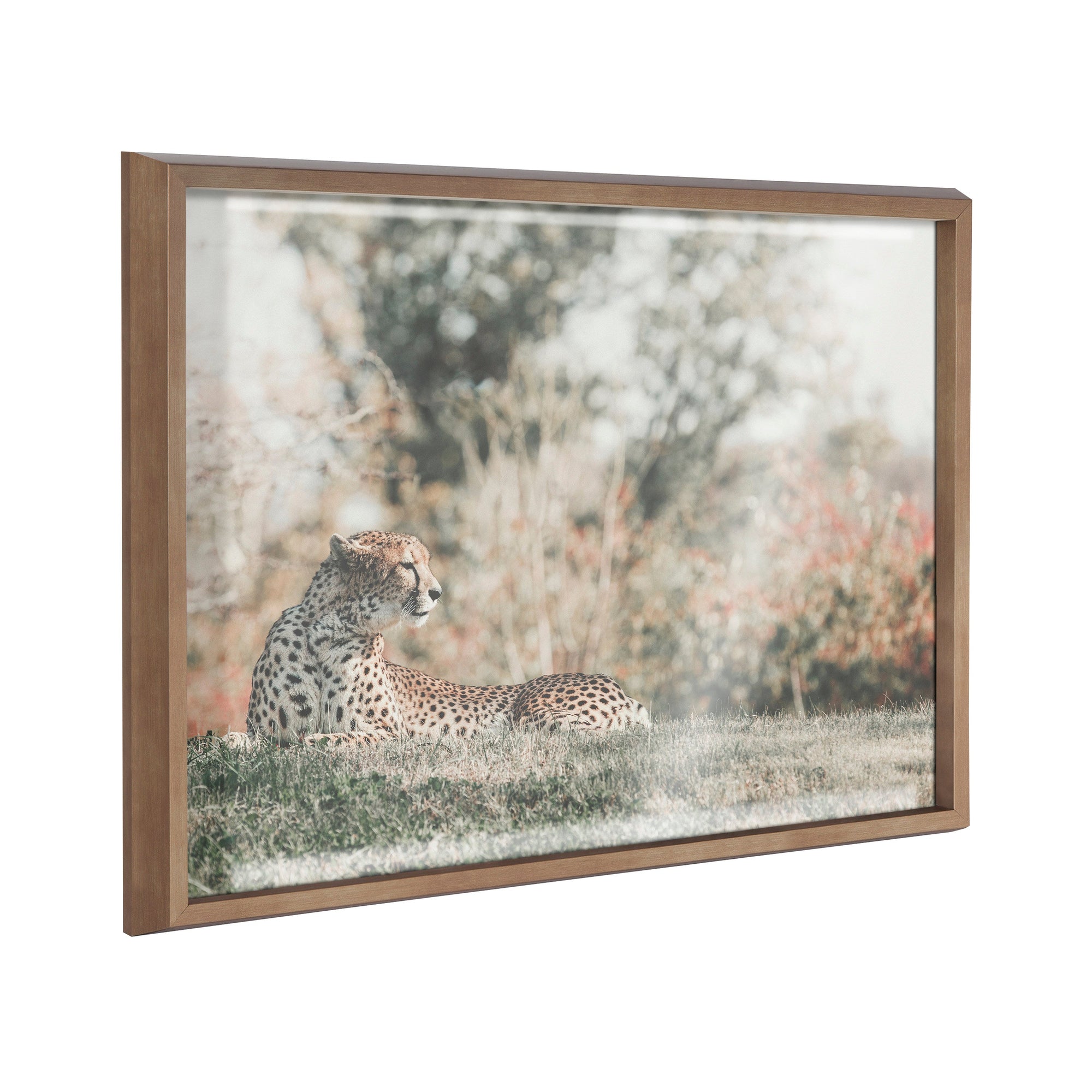 Blake Cheetah Framed Printed Glass by Alicia Abla by kateandlaurel - main product image for Resin Society