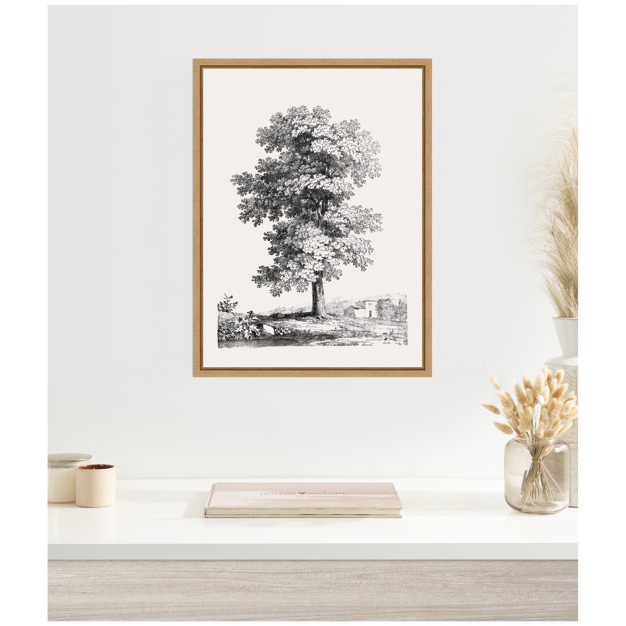 Sylvie Jean Victor Bertin Study of a Tree 1816 Framed Canvas by The Art Institute of Chicago