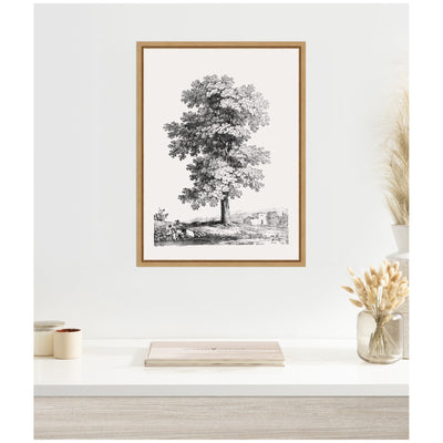 Sylvie Jean Victor Bertin Study of a Tree 1816 Framed Canvas by The Art Institute of Chicago