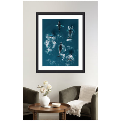 Framed Art School of Humpback Whales in the Blue Ocean by Michael Schauer