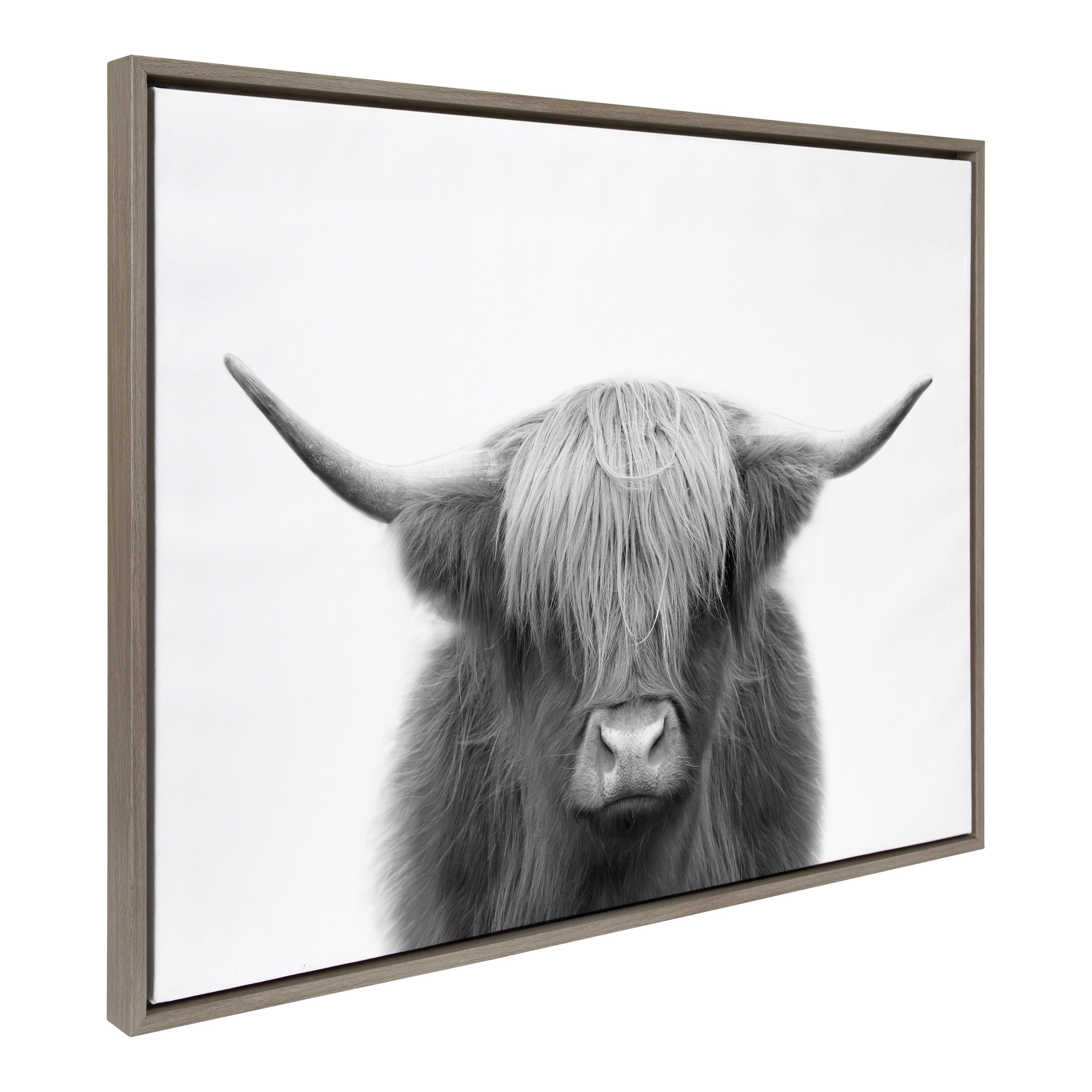 Sylvie Hey Dude Highland Cow black and white framed canvas art by The Creative Bunch Studio