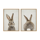 Two framed canvas artworks depicting a gray-brown bunny: one portrait facing forward with large ears, and one showing the bunny's back with a fluffy white tail, on a textured light background.