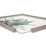 Blake Parrys Agave Framed Printed Glass by kateandlaurel - product image 8 for Resin Society