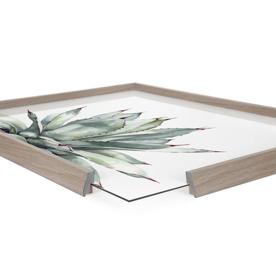 Blake Parrys Agave Framed Printed Glass by kateandlaurel - product image 8 for Resin Society