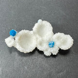 White crystalline stilbite clusters with bright blue cavansite spherical formations on a dark gray background, showcasing fine crystal textures and contrasting colors.