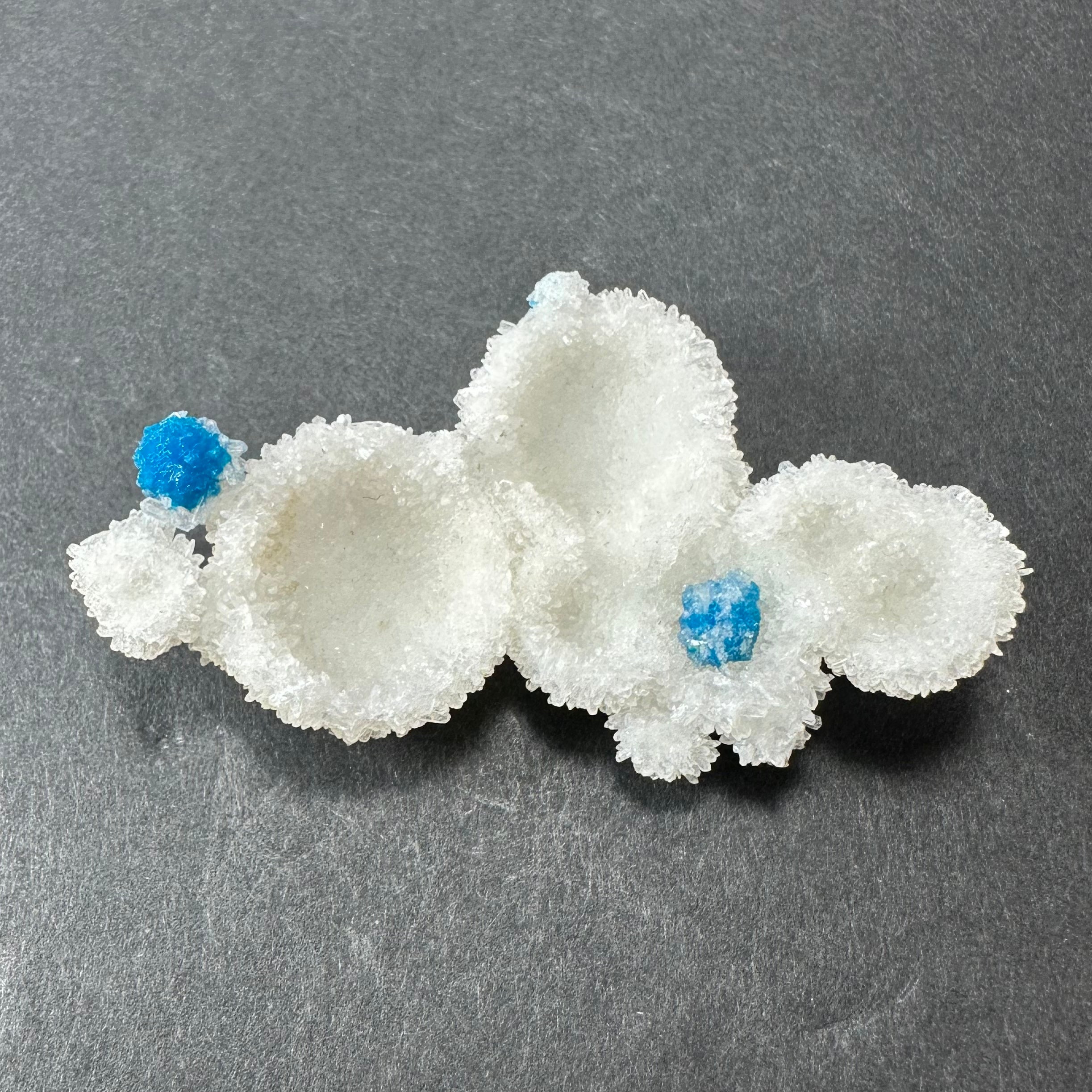 Cavansite Ball 'Floaters' on Stilbite MD by Rare Earth Gallery