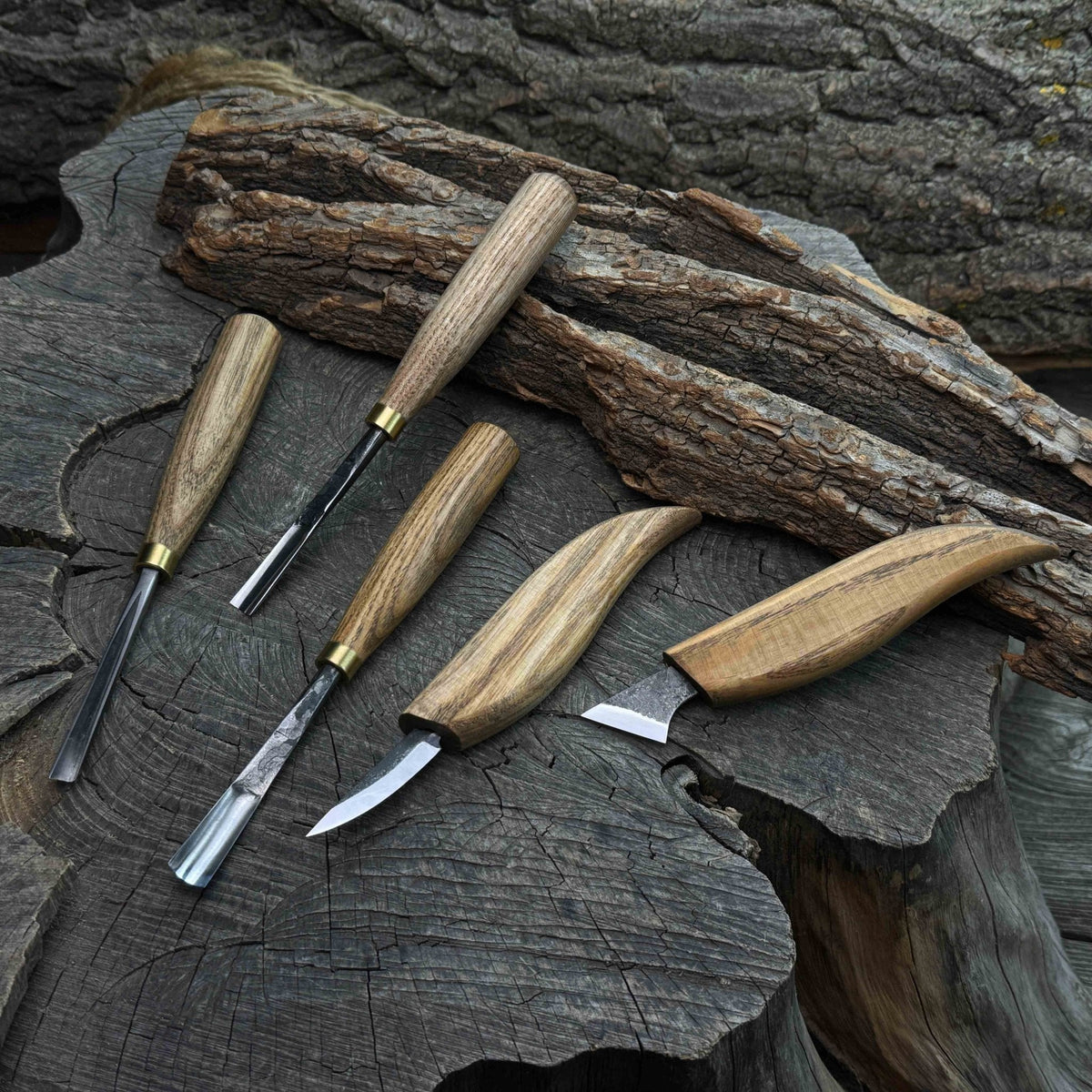 5-Piece Detail Wood Carving Set with ash wood handles and high-carbon steel blades