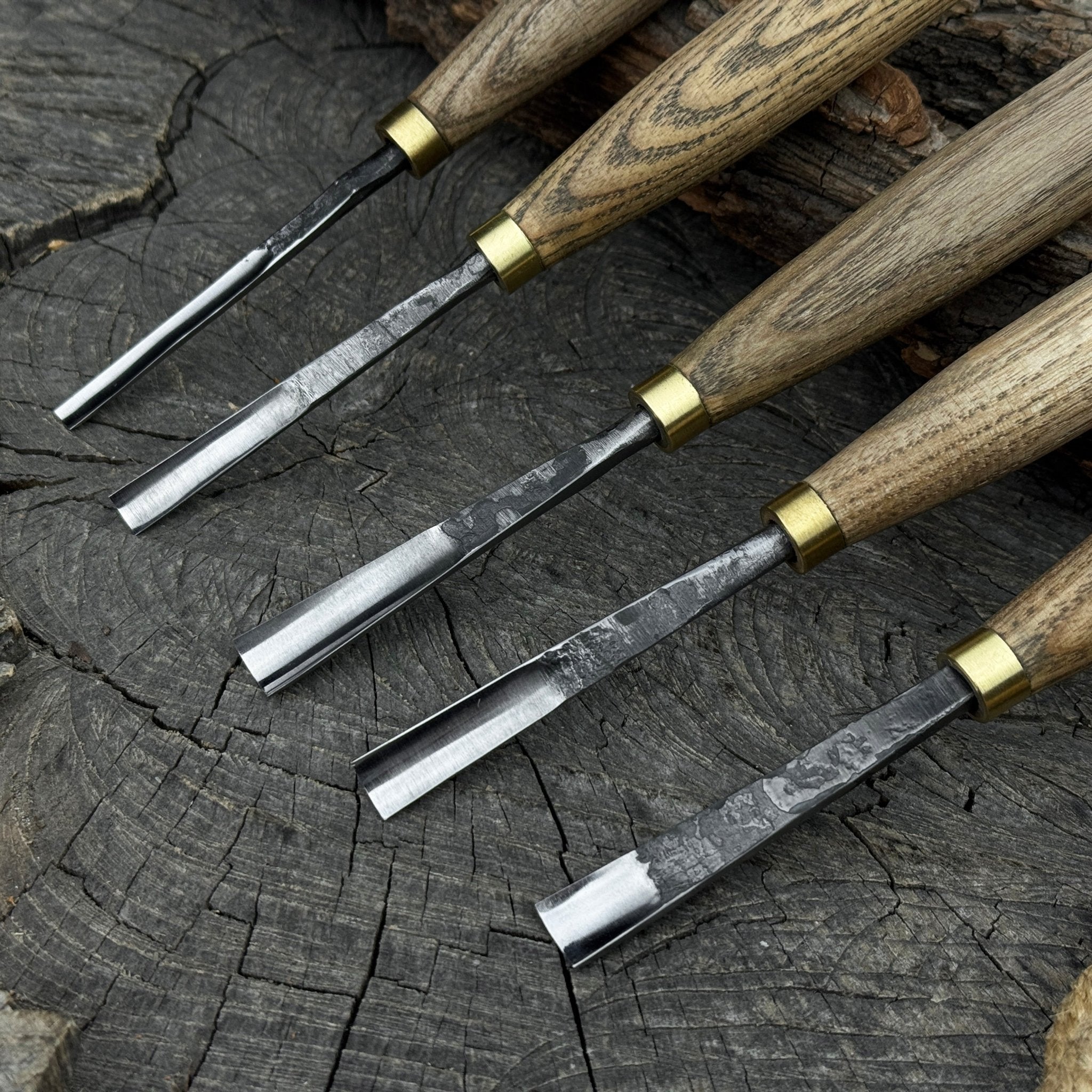 5-piece wood carving chisel and gouge set with ash wood handles and forged steel blades