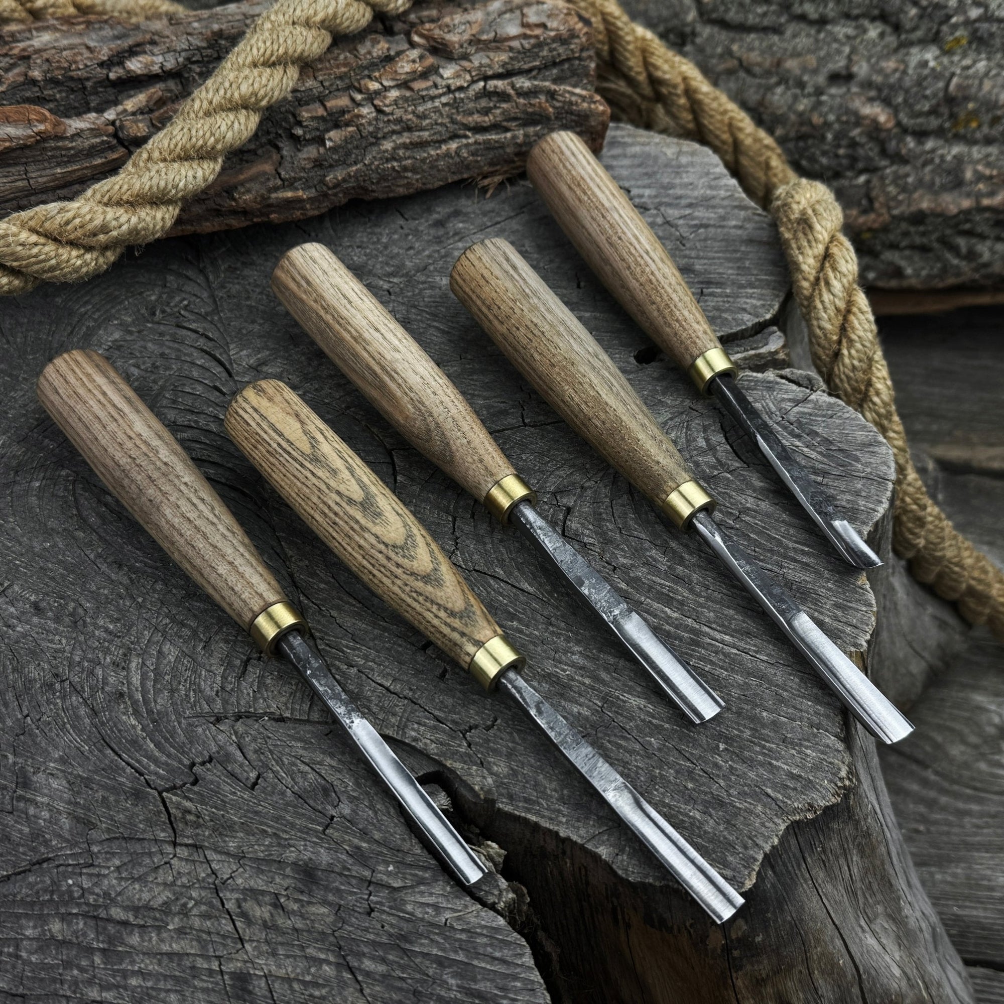 5-piece wood carving chisel and gouge set with ash wood handles and forged steel blades