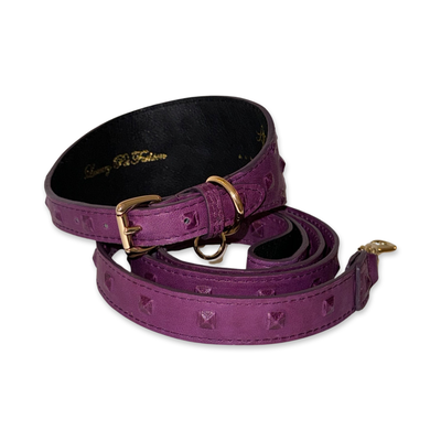 Glamorous Boysenberry Embossed Studded Italian Leather 3” Wide Collar & Leash Set